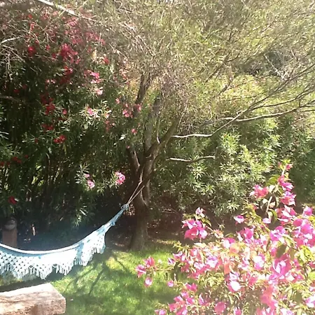 Holiday home Casa Corallo Porto Rotondo